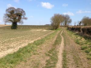 63567_10151574488528923_278265644_n