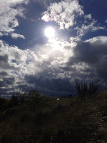 Arbroath - nice evening