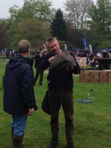 Birds of prey flying display