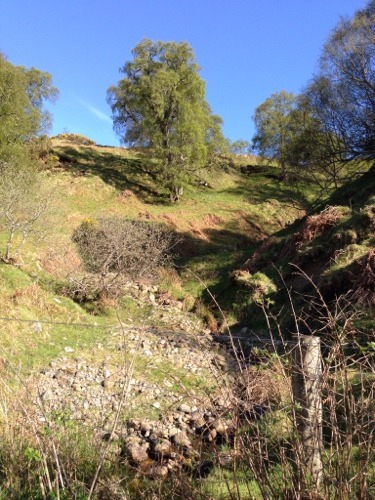 Dornoch Firth countryside 2