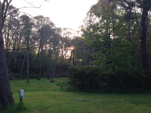 Evening sunshine at Fochabers campsite