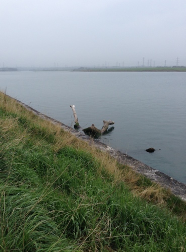 Into the mists Into the mists