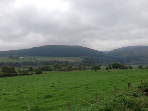 Spey valley countryside 1