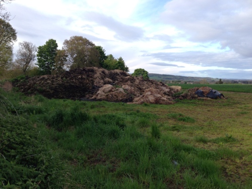 Wild campsite number 2