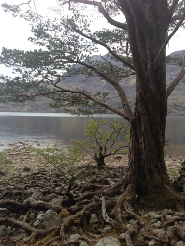 Beinn Eighe National Park