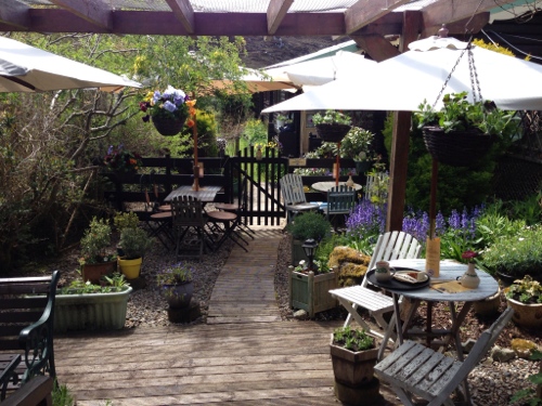 Drumbeg hot chocolate stop - lovely garden
