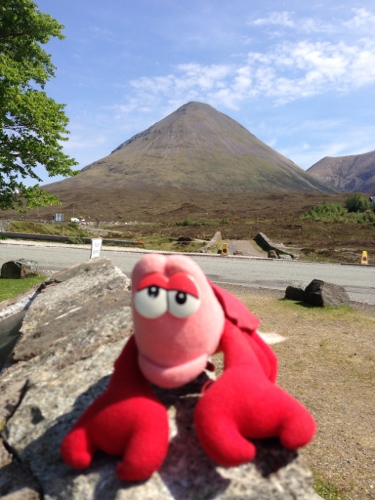 Lobster sun bathing in Sligachan