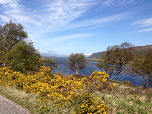 Road around Kyle of Tongue 3