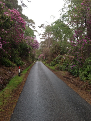 Road past Conaglen House