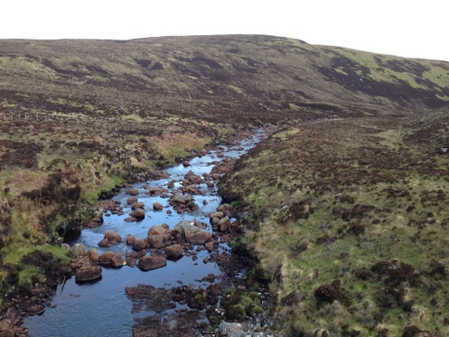 Wild landscape around the Cape