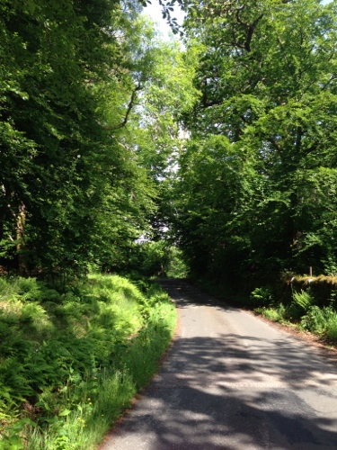 More verdant roads near Cairndow