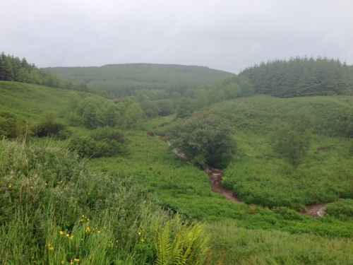 Very wet countryside Very wet countryside