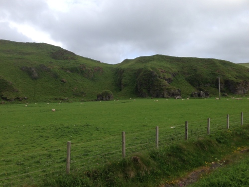 Windy coastline, with sheep of course Windy coastline, with sheep of course