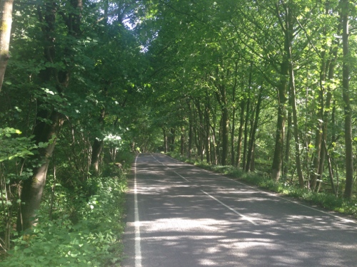 Country road down to Flookburgh