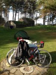 Wild camping in Tentsmuir Forest
