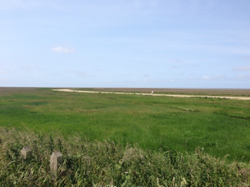 Marshside RSPB reserve