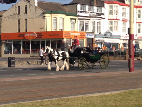 Pony and carriage ride anyone?