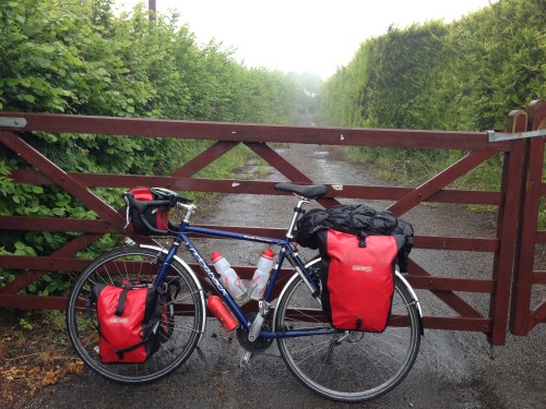 Ridgeback holding up in the wet