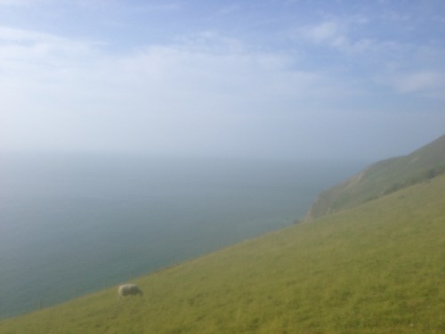Coast at Countisbury Hill