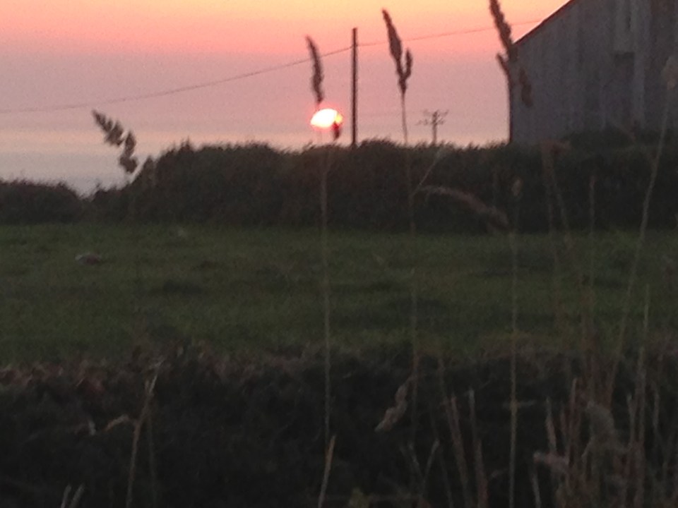 Trevedra Farm Sunset 3