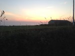 Trevedra Farm Sunset 5