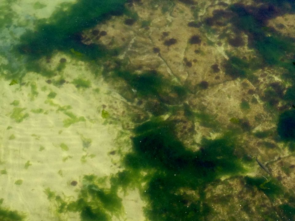 Clear sea off Mousehole