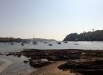 Helford River - lots of boats moored up