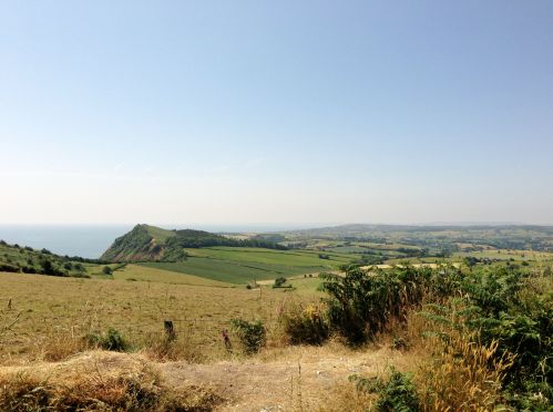Countryside near Sidmouth