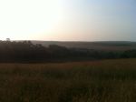 Morning on the South Downs 1