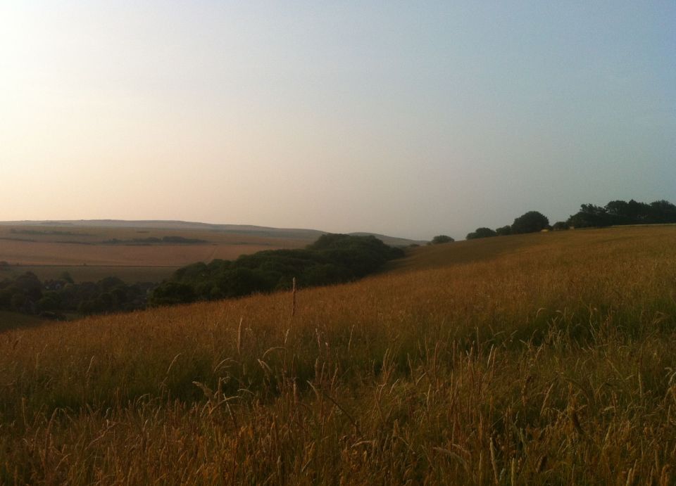 Morning on the South Downs 2