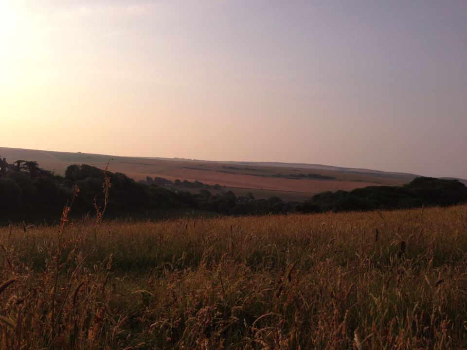 Morning on the South Downs 3