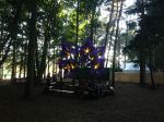 Latitude - flowers in the woods