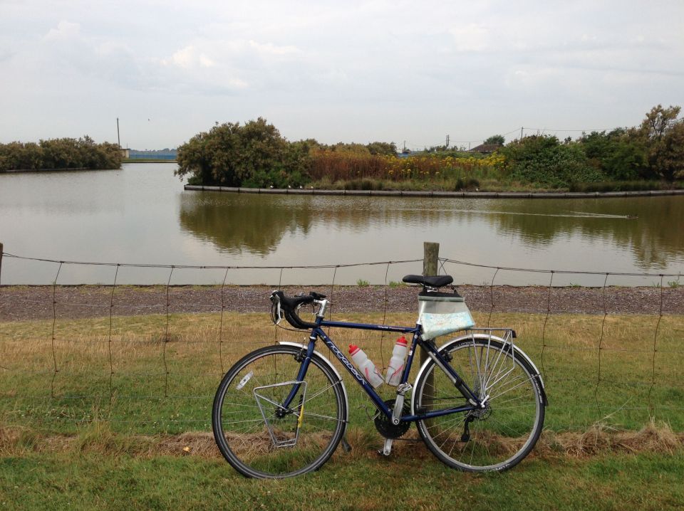 Ridgeback next to lake in Brightlingsea