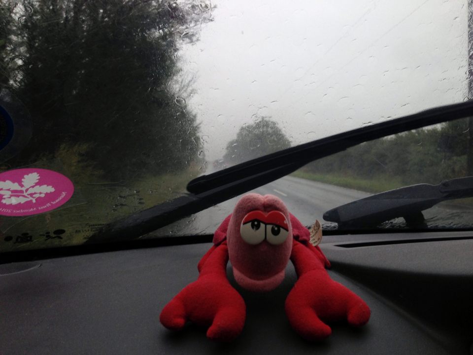 Driving home - very wet