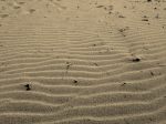 Waves in the Sand - Waxham