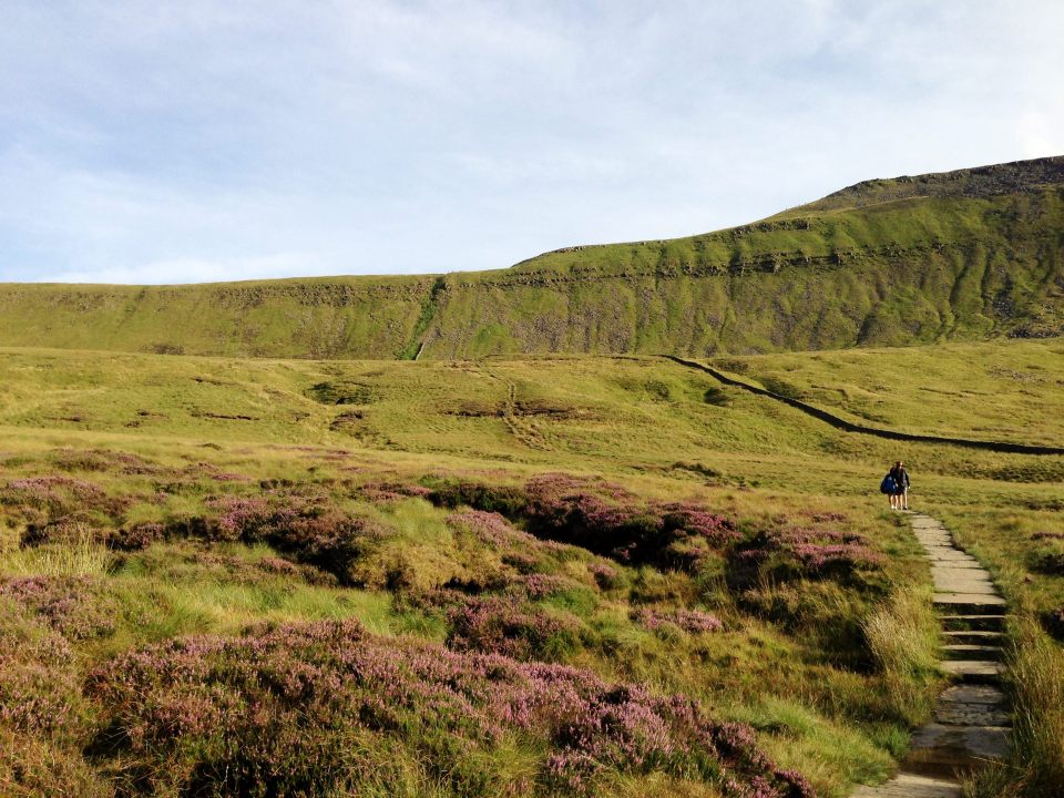 Ingleborough - where's the path up that exactly