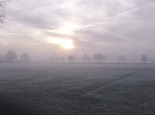 Early morning ride in the mist, frost abounding.