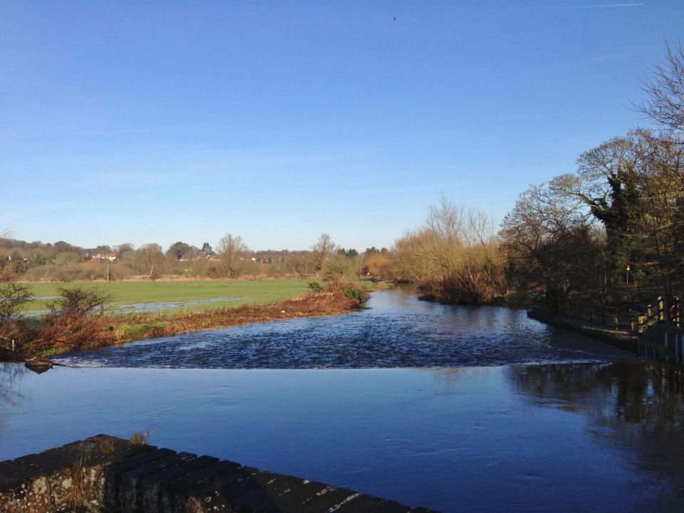 Costessey Mill 2 - too cold for a dip today