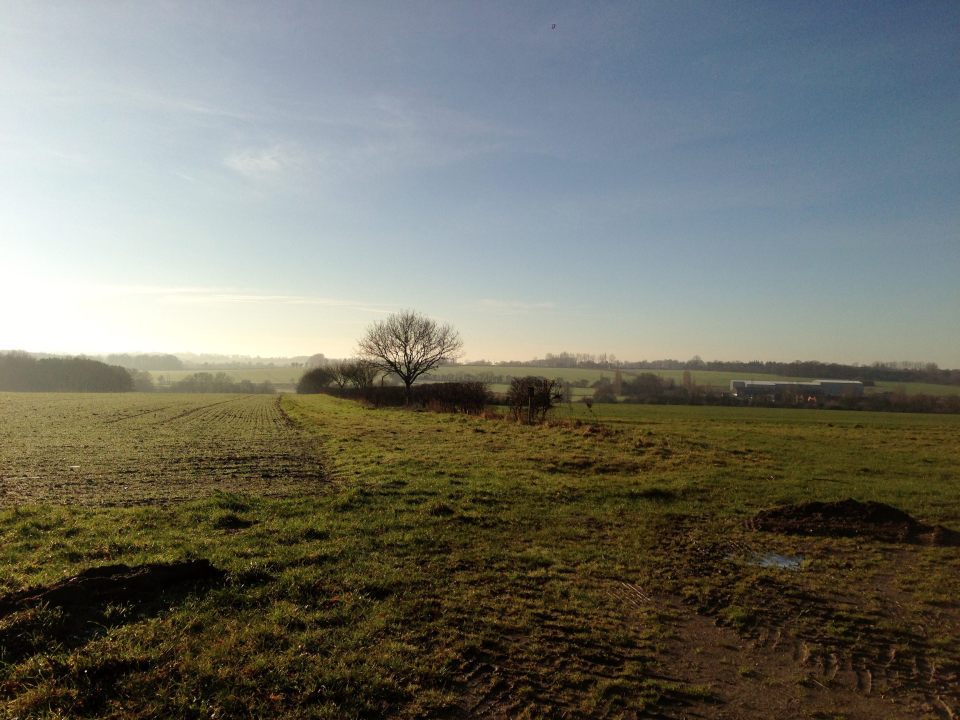 04 Jan - Norfolk countryside