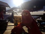 Kranjska Gora -Travelling Lobster with beer