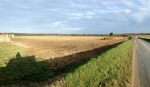 Norfolk countryside - a lot of fields waiting to sprout new crops